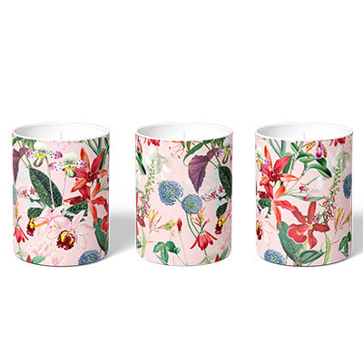 Exotic Orchids Soy Candle