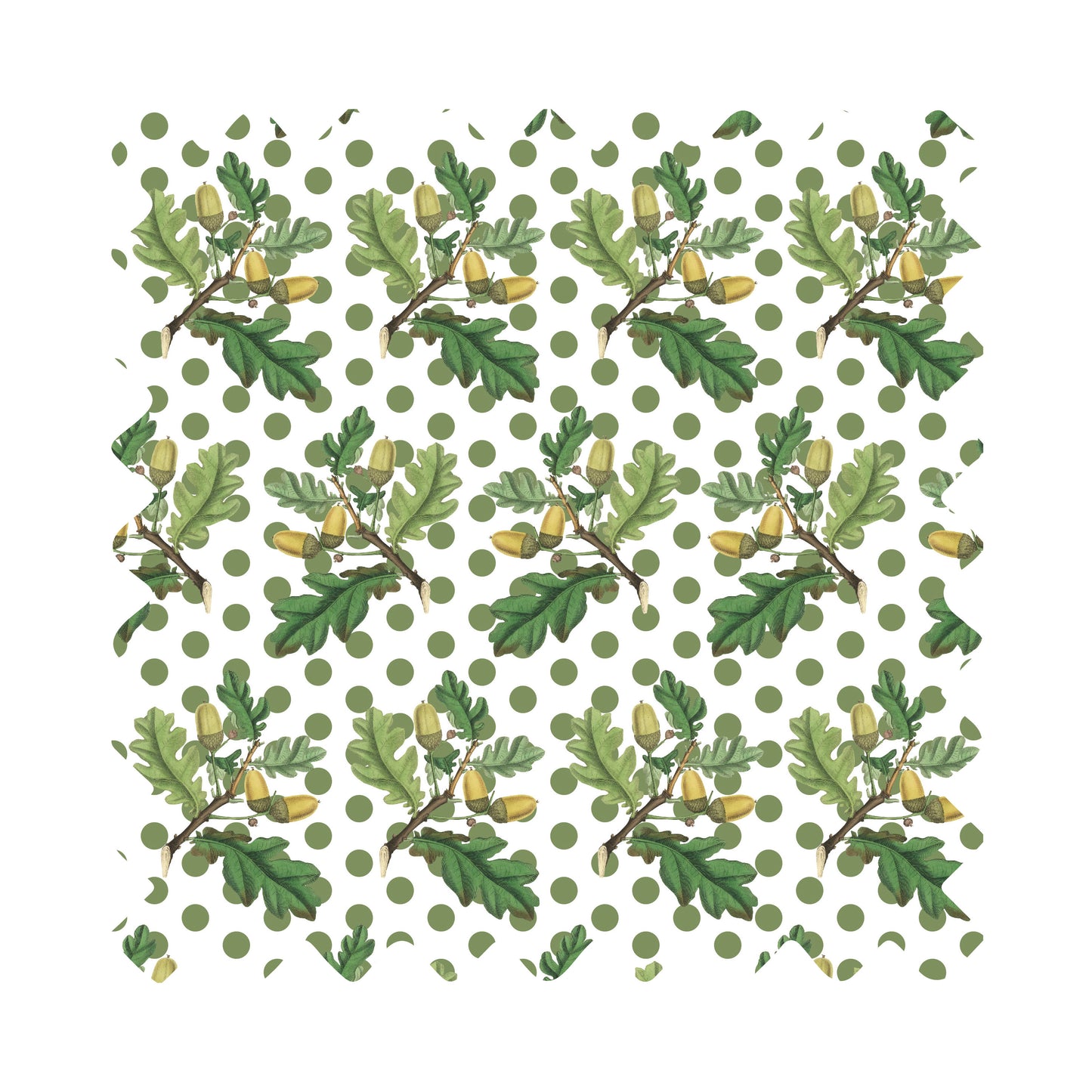 Oakley Luxury Wrapping Paper