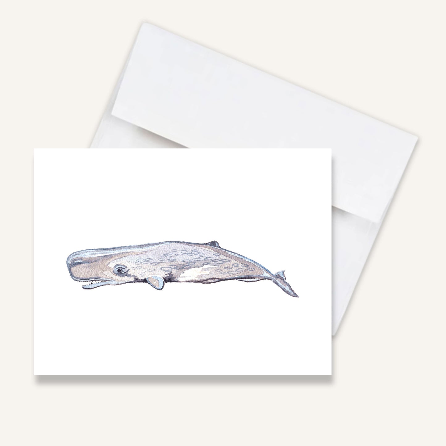 Oh Whaley Folded Notecards