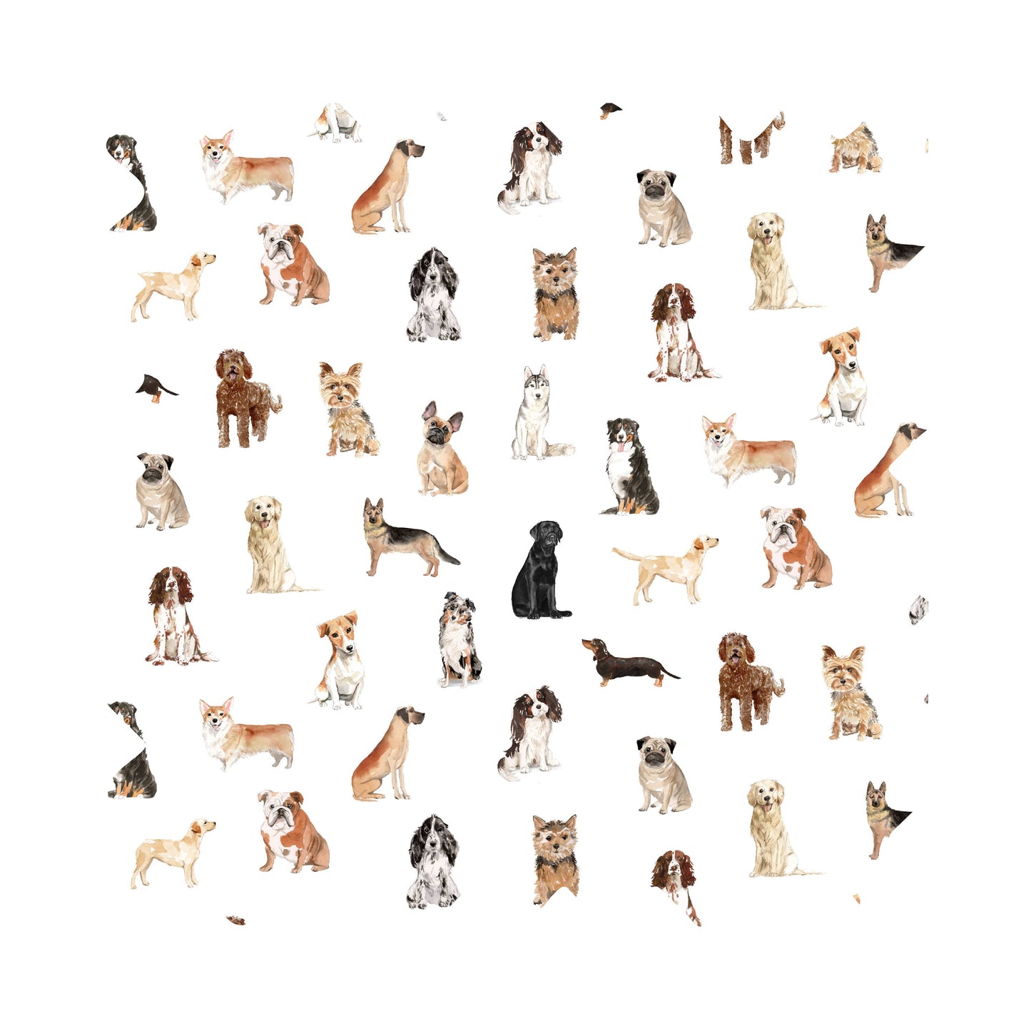 Best Friends Dog Luxury Gift Wrap