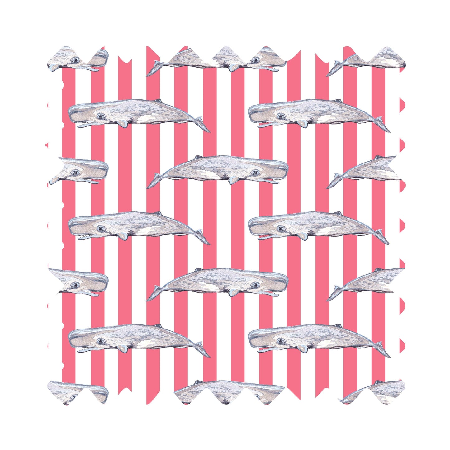 Oh Whaley Luxury Gift Wrap - Available in 3 Colors