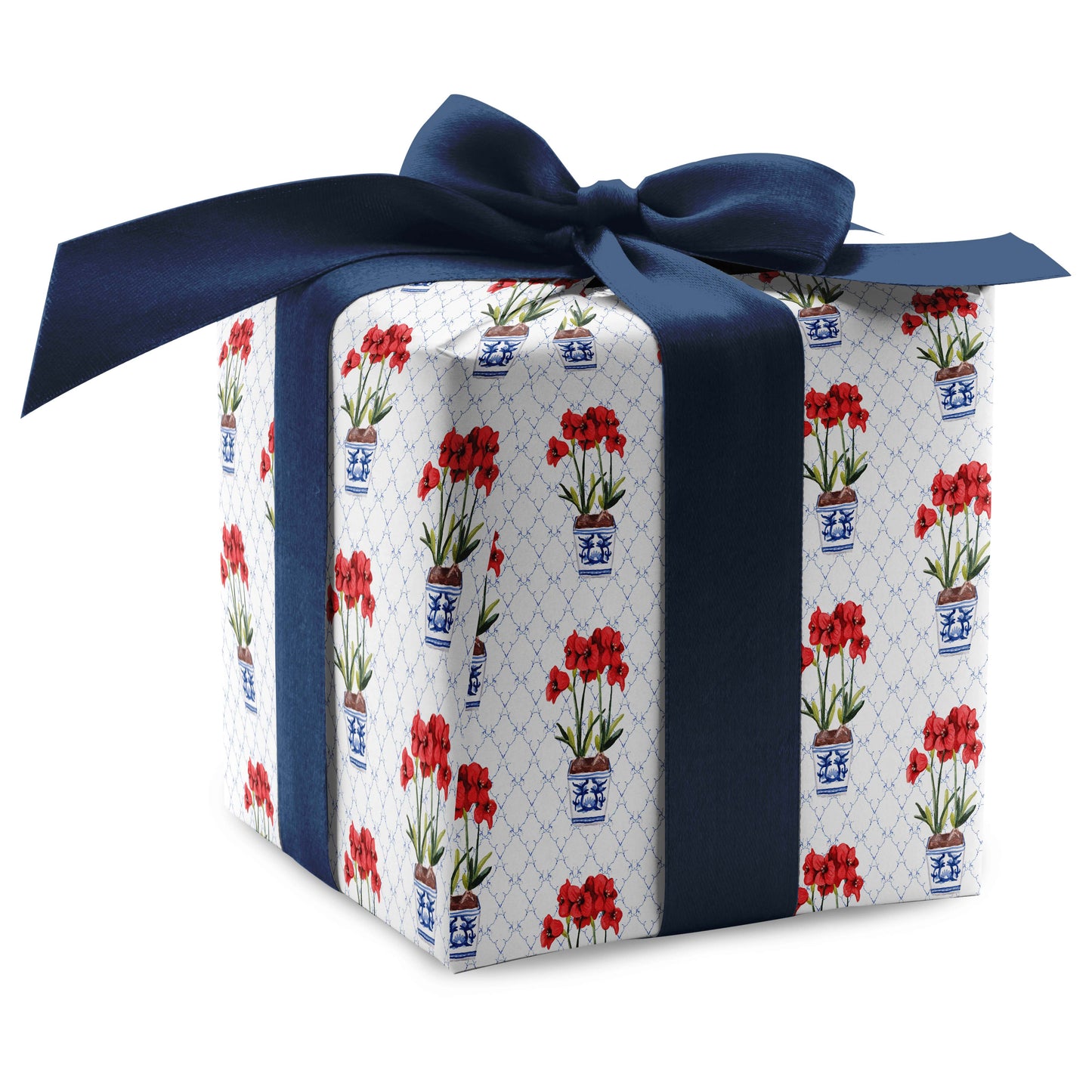 Glorious Amaryllis Luxury Gift Wrap