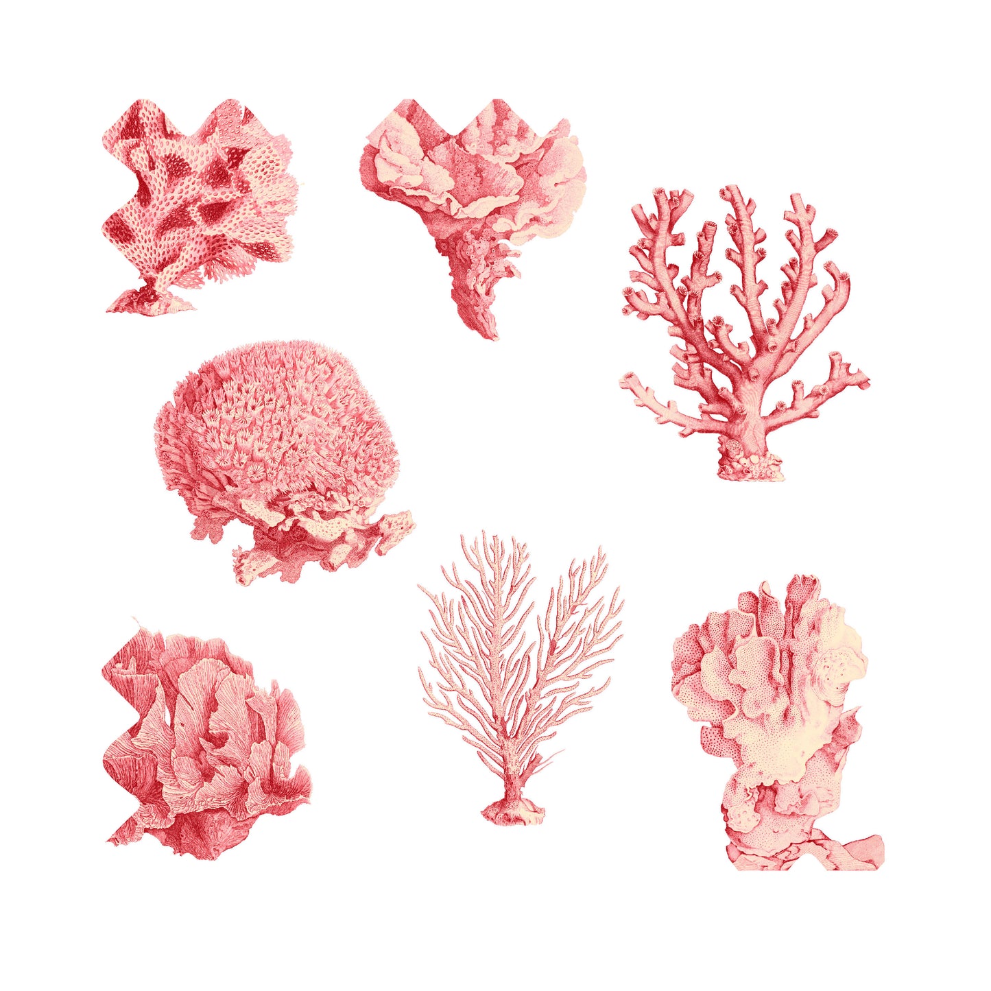 Coral Seas Gift Wrap - Red