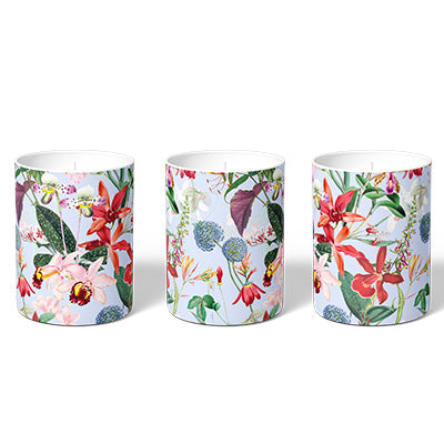 Exotic Orchids Soy Candle