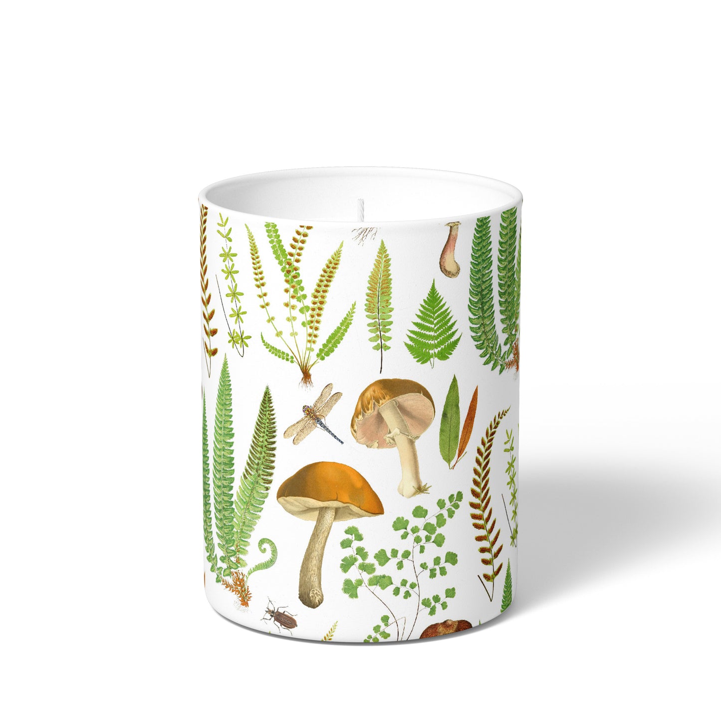 Soy Candle - Fabulous Ferns