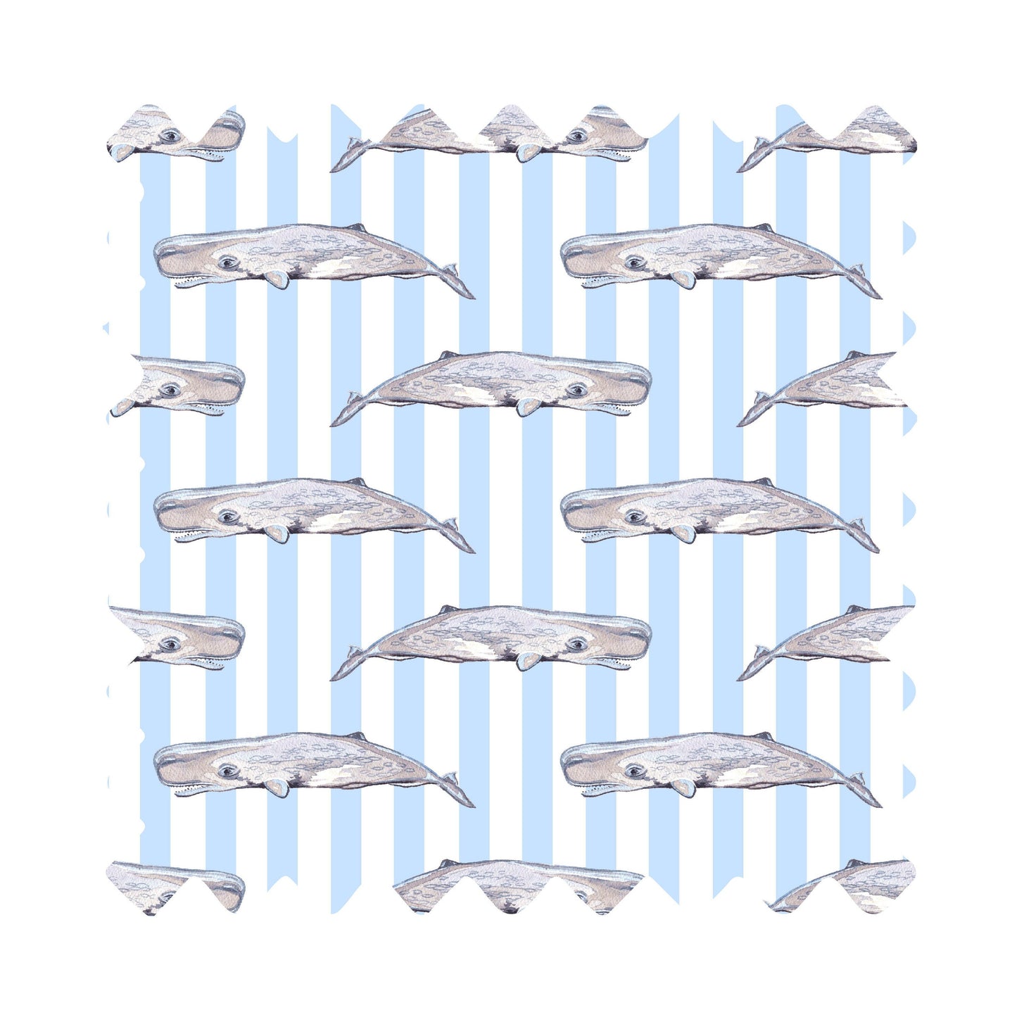 Oh Whaley Luxury Gift Wrap  - Available in 3 Colors