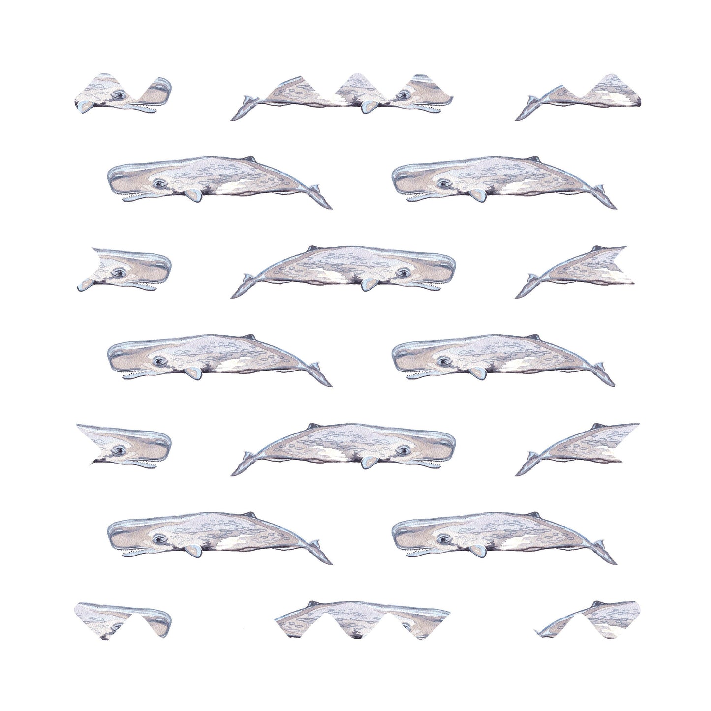 Oh Whaley Luxury Gift Wrap  - Available in 3 Colors